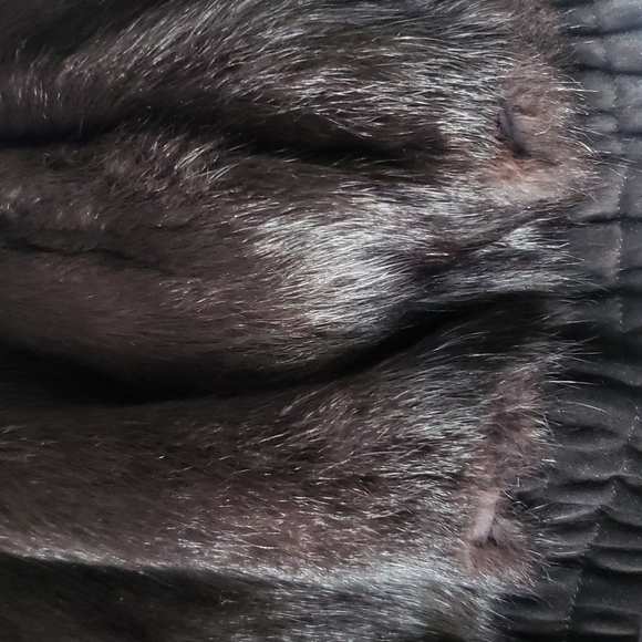 Beltrami Black Suede, Crocodile & Fur Collar & Lining Jacket - Picture 14 of 14